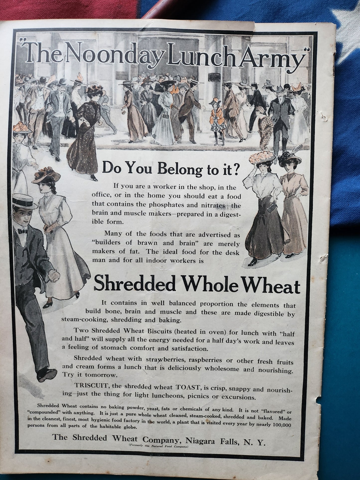 Shredded Whole Wheat advertisement from July 4, 1908 Collier's Weekly